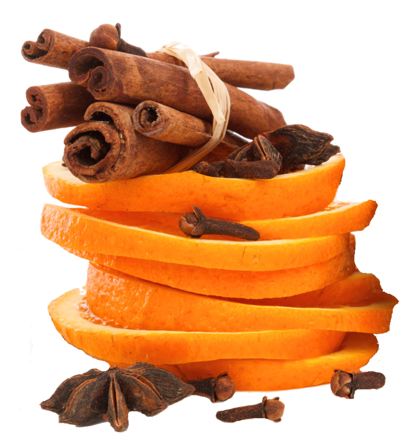 pngegg.png